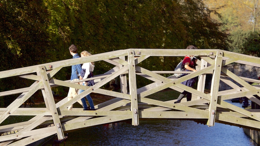 Mathematical Bridge