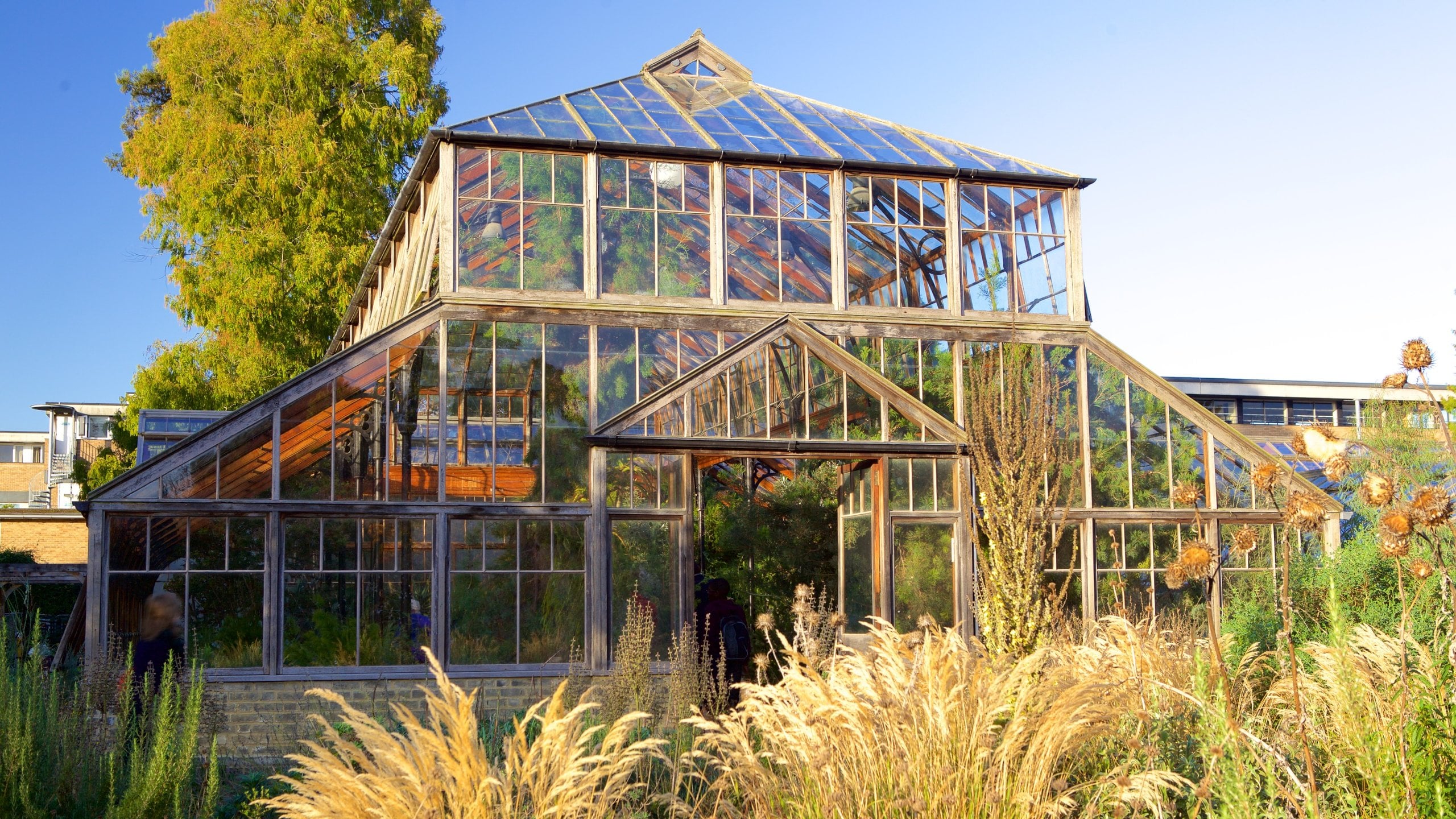 University Botanic Gardens, Cambridge Vacation Rentals house rentals