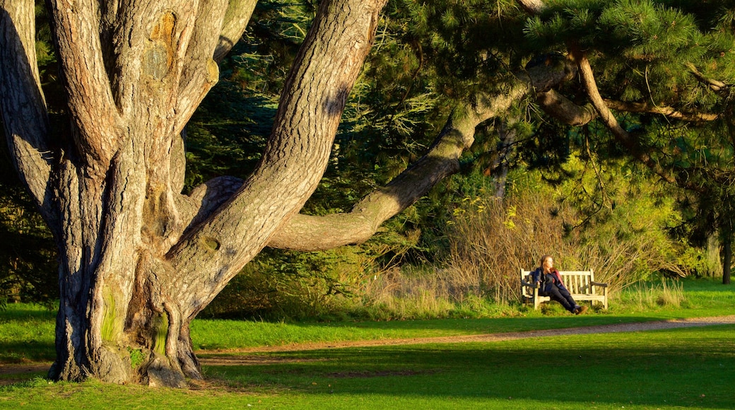 University Botanic Gardens featuring a park