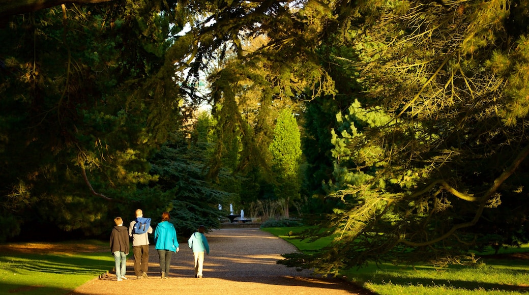 University Botanic Gardens i tillegg til familie