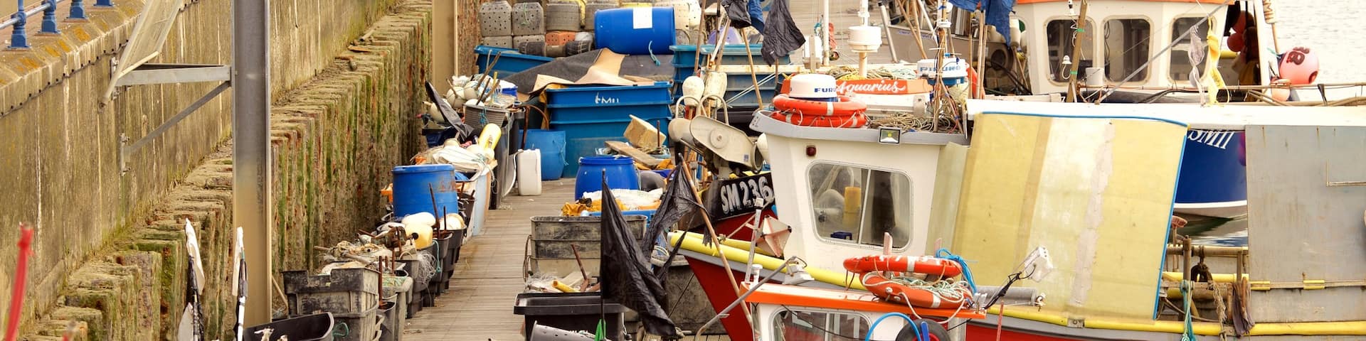 Brighton Marina featuring a marina