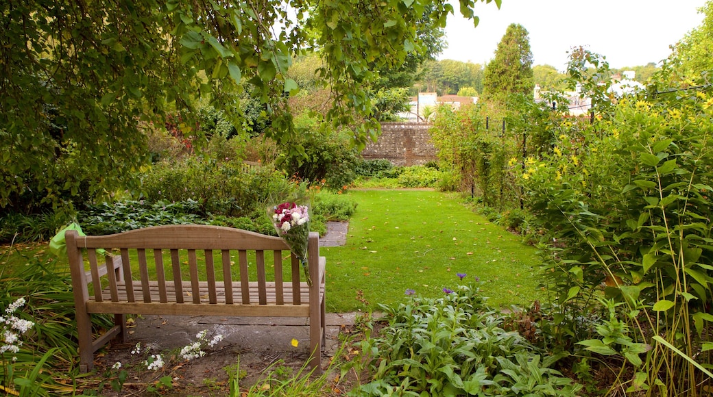 Preston Park featuring a garden