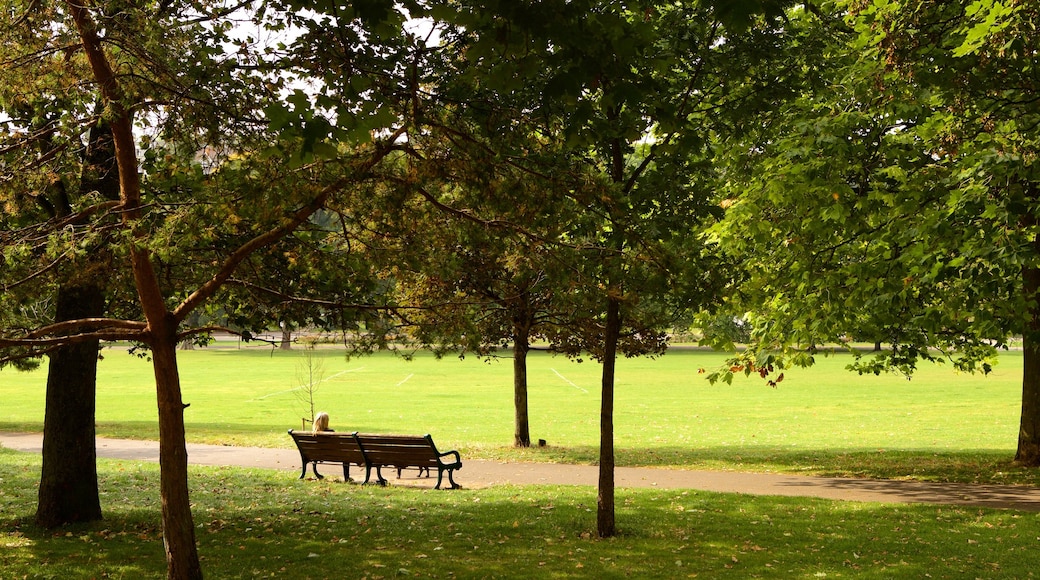 Preston Park que incluye jardín