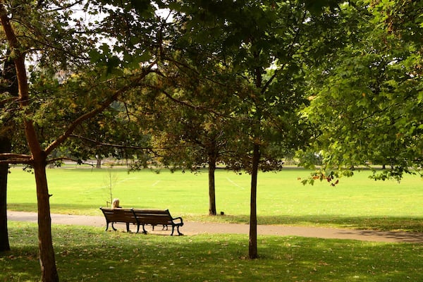 Preston Park mettant en vedette parc