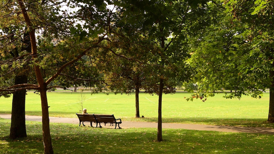 Preston Park mettant en vedette parc