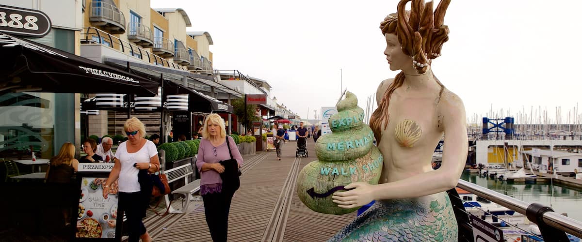 Brighton Marina featuring a marina and a statue or sculpture