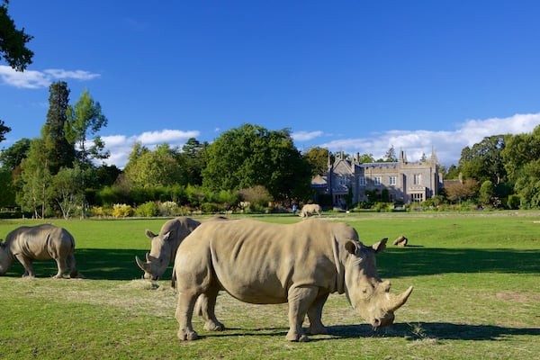 コッツウォルド ワイルドライフ パーク フィーチャー 危険な動物, 動物園の動物 と 庭園