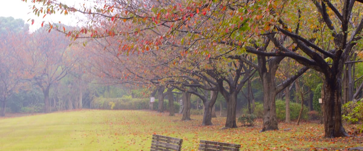 Narashino which includes fall colors and a garden