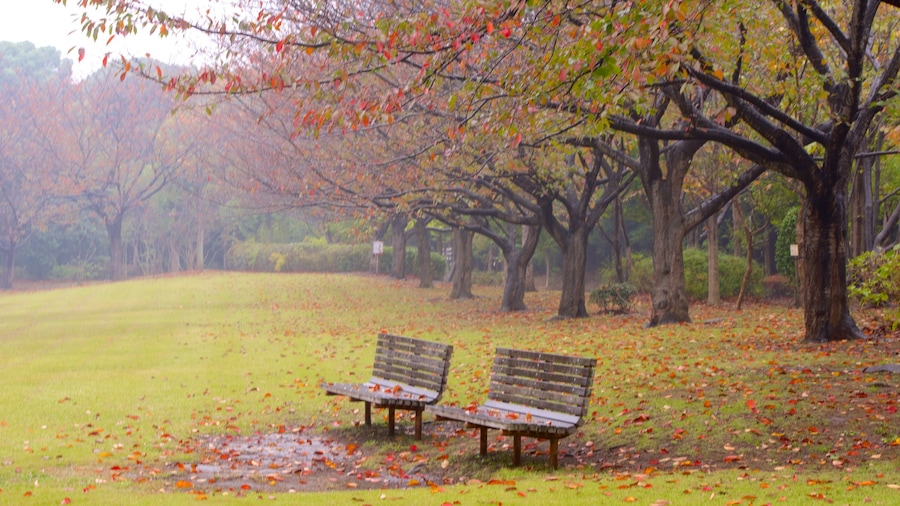 Narashino que incluye los colores del otoño y un parque