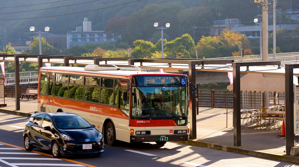 Taman Nasional Fuji-Hakone-Izu