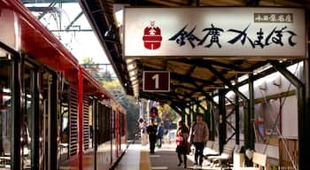 Ashigarashimo which includes railway items
