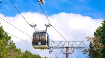Hakone featuring a gondola