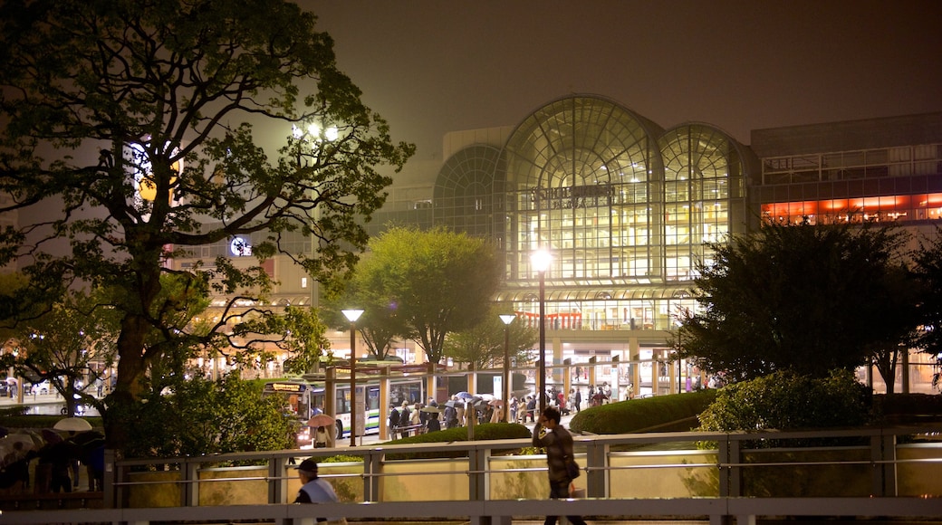 Urayasu which includes night scenes