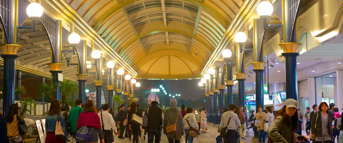 Maihama showing interior views as well as a large group of people