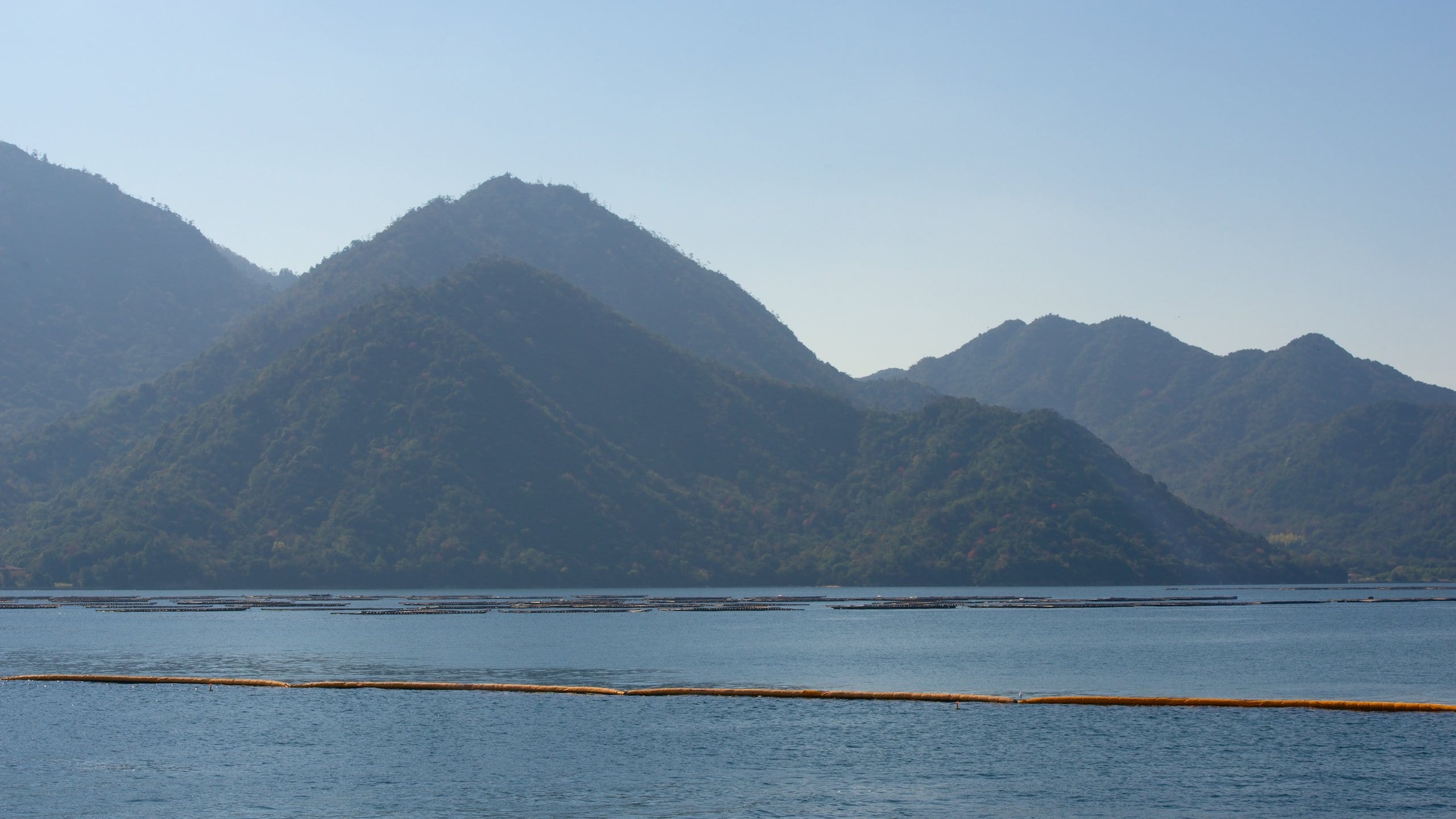 Hatsukaichi showing a lake or waterhole