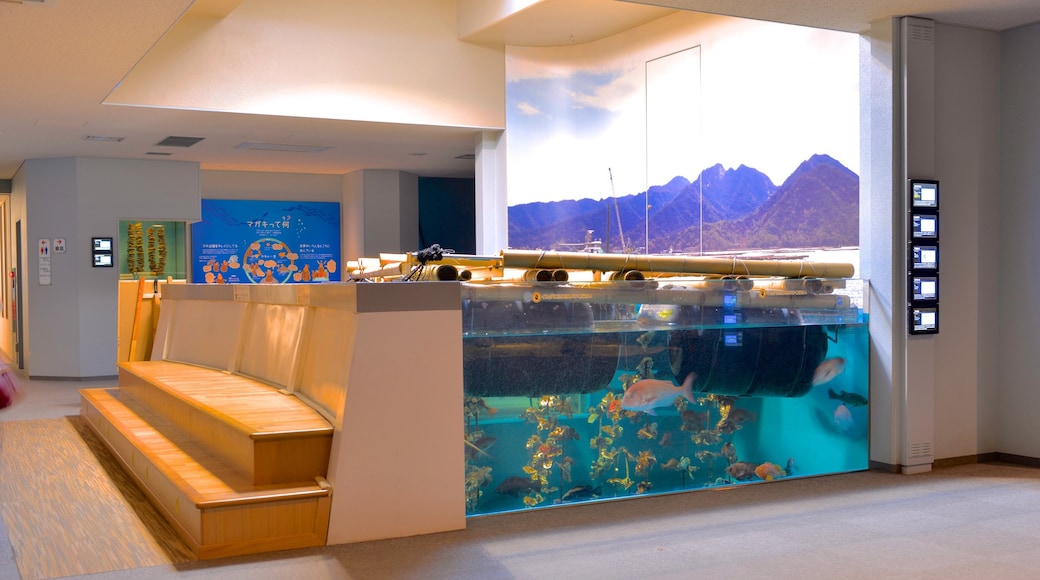 Miyajima Aquarium showing interior views