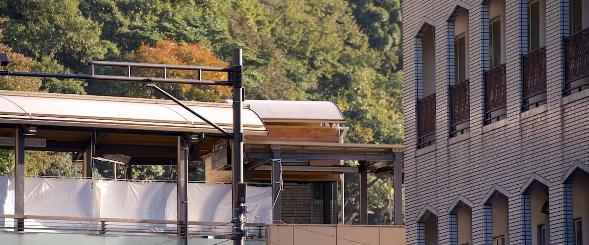 Ashigarashimo