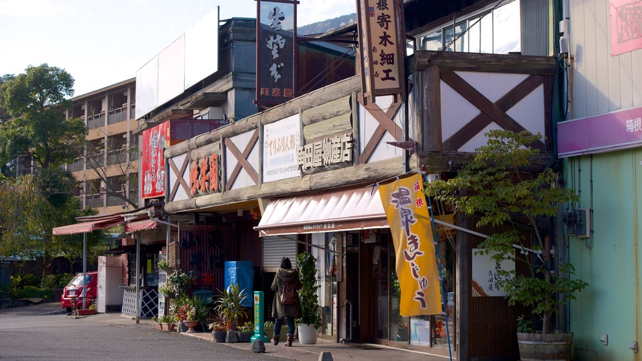 Gora featuring signage and street scenes