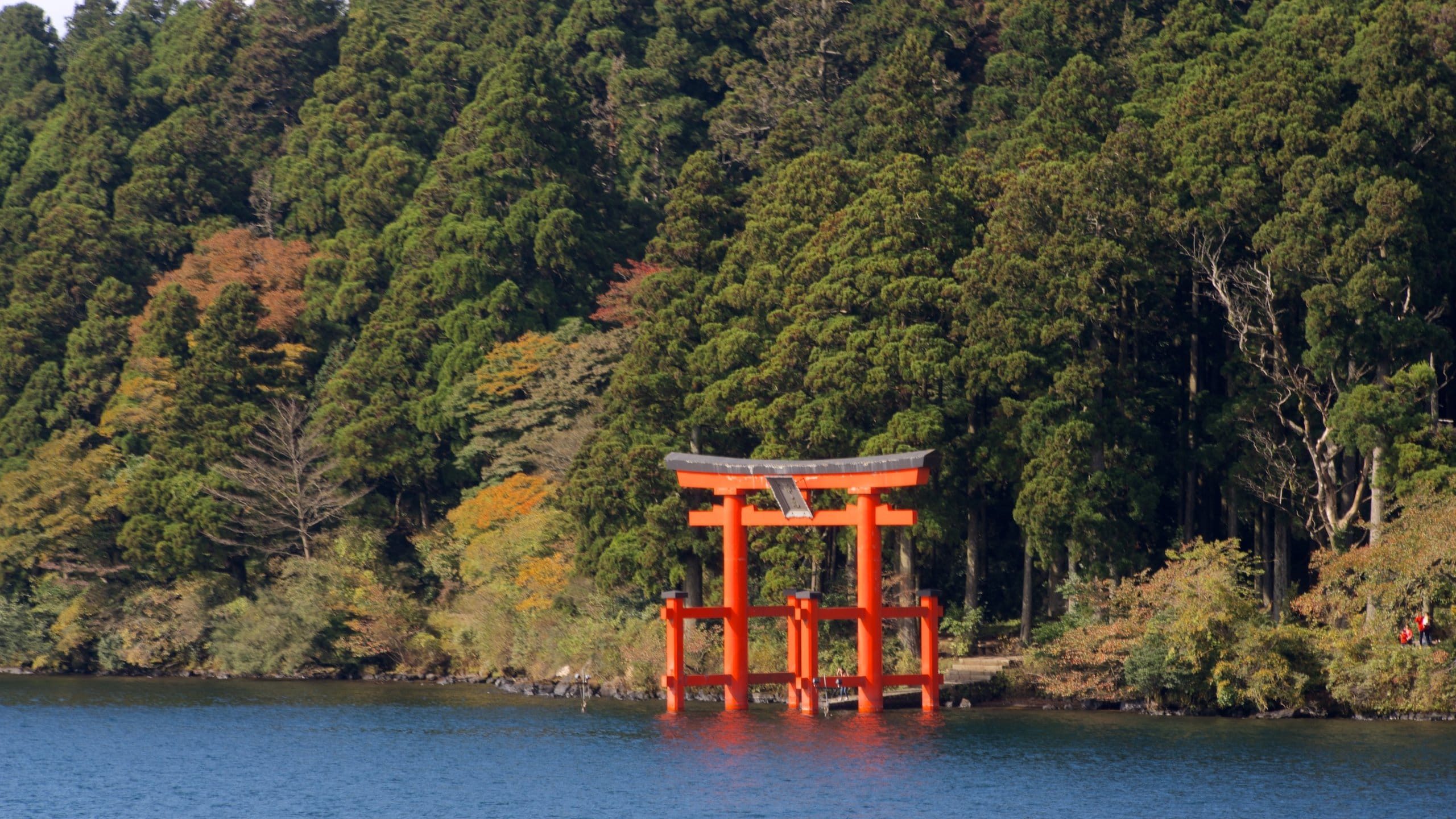 富士箱根伊豆国立公園の探索:何をして見るか - Trip To Japan