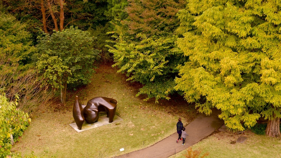 Hakone Open Air Museum which includes a park and a statue or sculpture