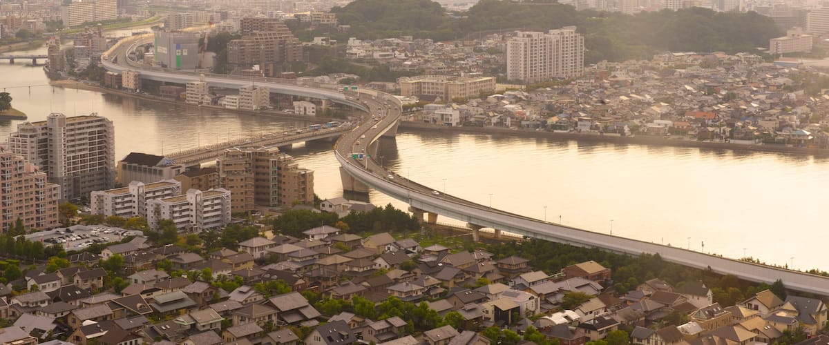 ํ์ฟ ์ค์นด ํ์ ์ ํน์ง ๋์