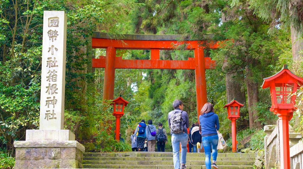 Hakone Shrine featuring heritage elements as well as a couple