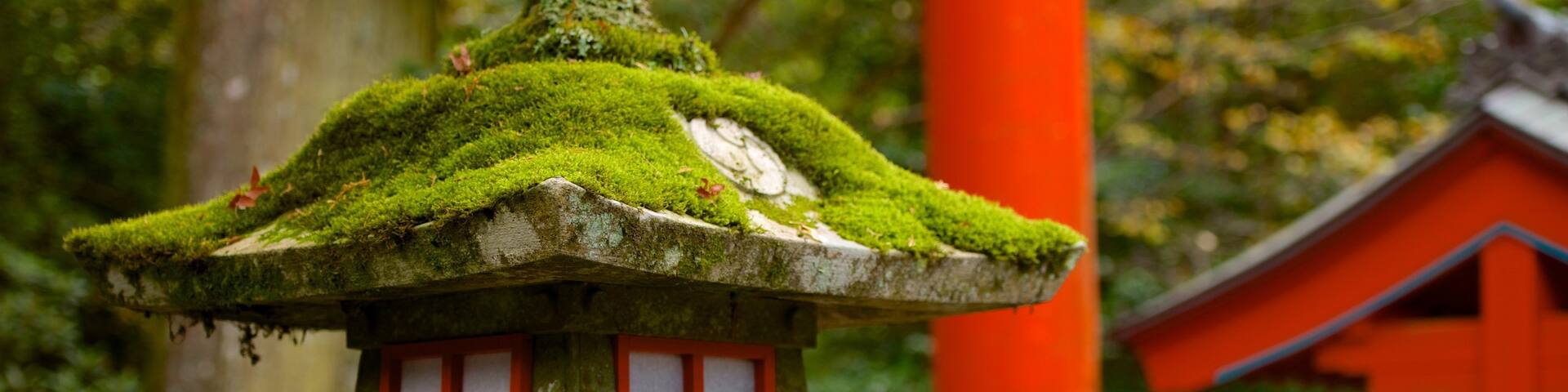 Hakone Shrine showing heritage elements and a temple or place of worship