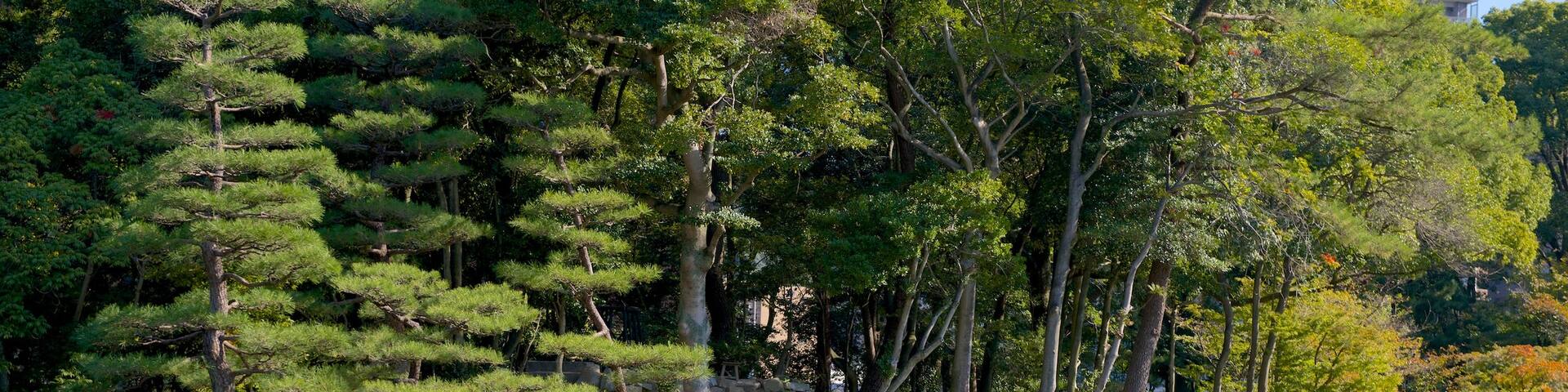 Shukkeien showing a garden