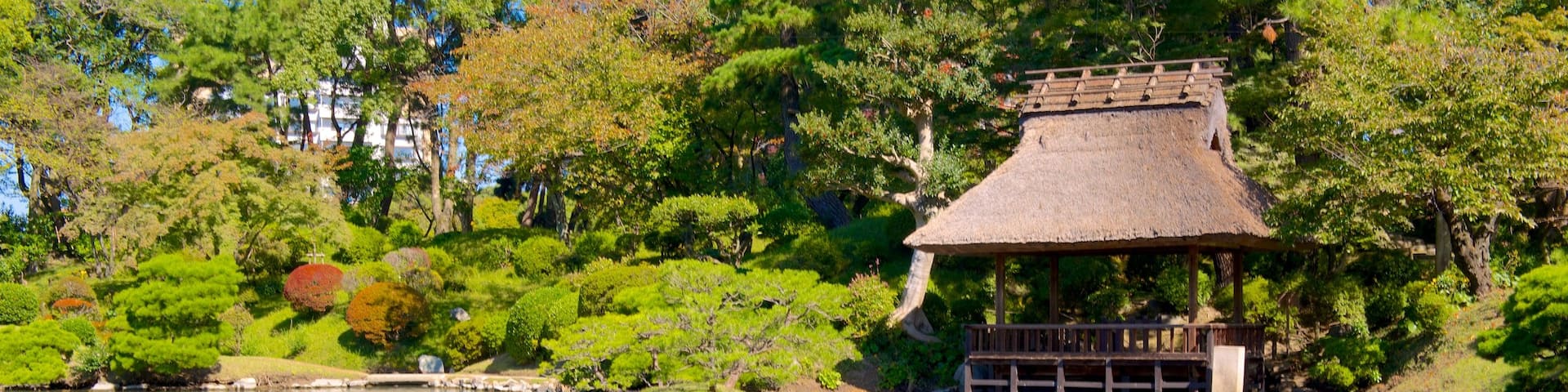 Shukkeien which includes a lake or waterhole