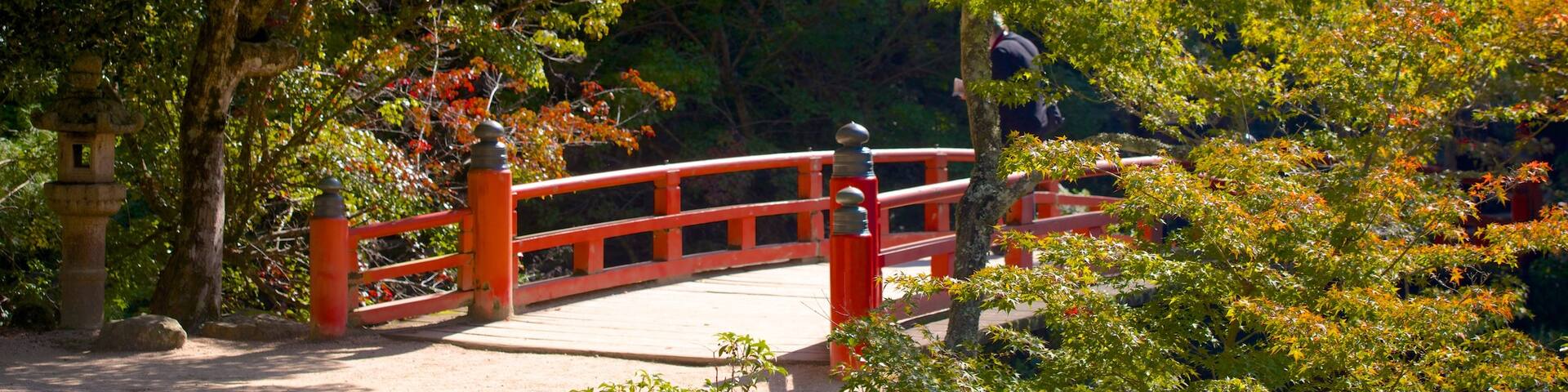 Momijidani Park mit einem BrĂŒcke und Park