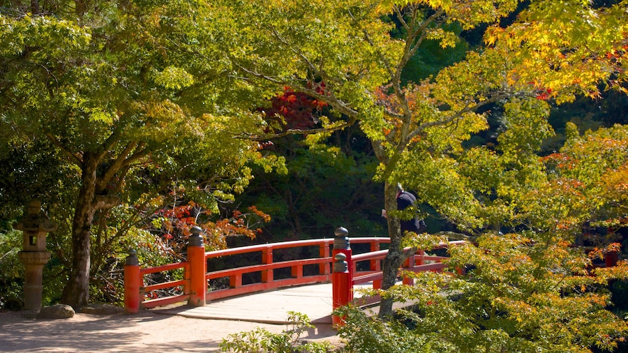 Momijidani Park which includes a park and a bridge