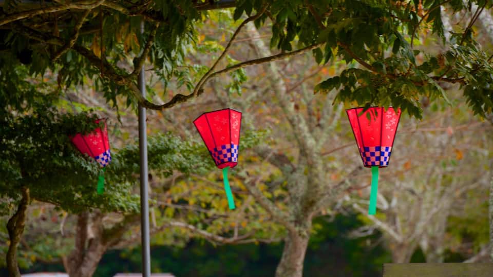 Momijidani Park