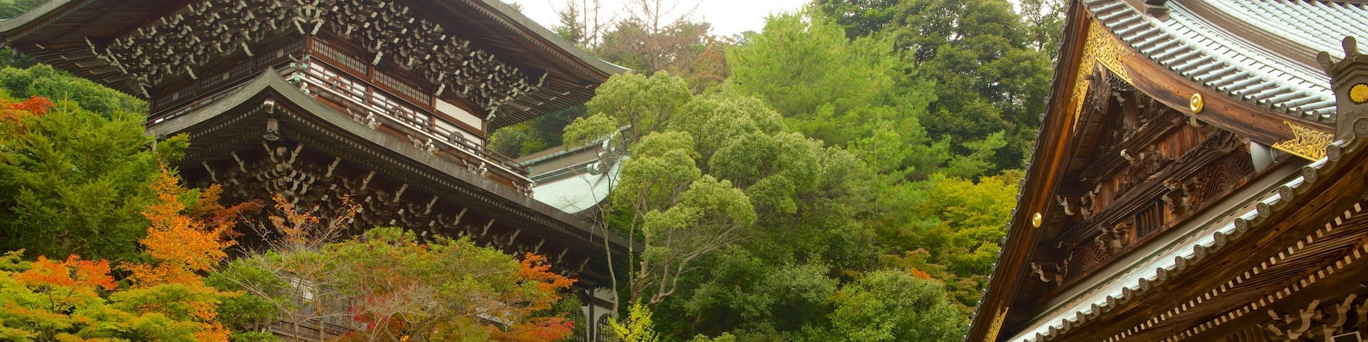 Daisho-in featuring a temple or place of worship and a park