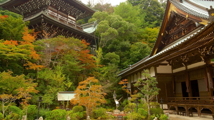 Daisho-in which includes a temple or place of worship and a garden