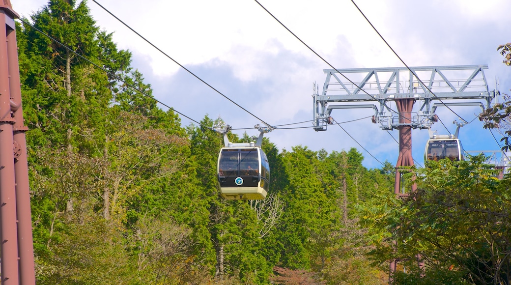 Hakone toont een gondel