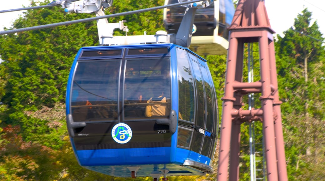 Hakone Ropeway