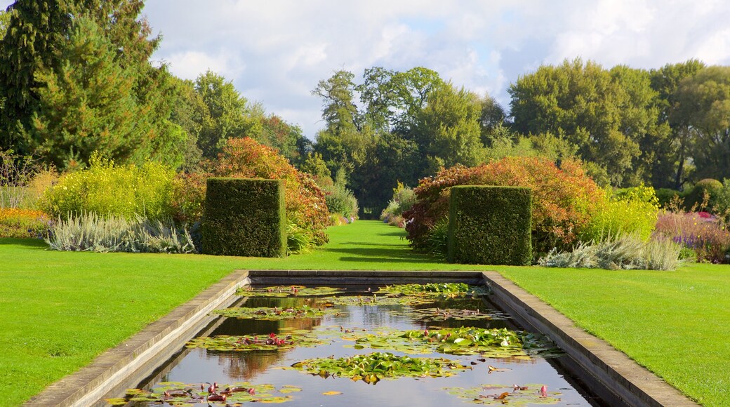 Oxford showing a garden and a pond