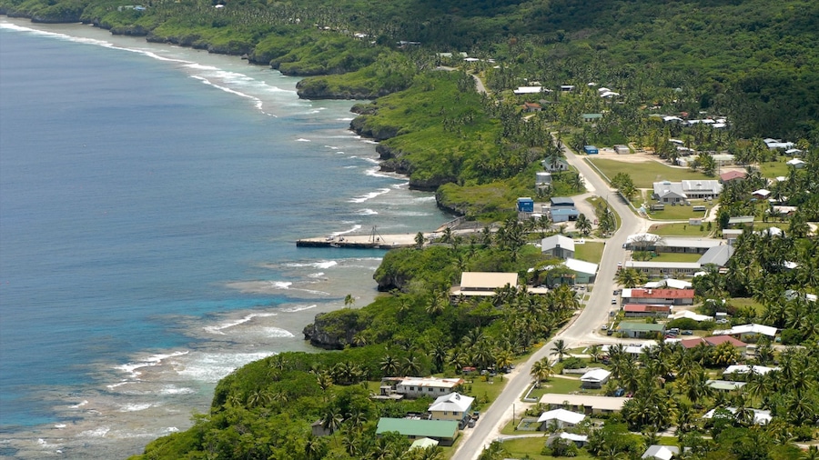 Niue che include vista della costa e località costiera