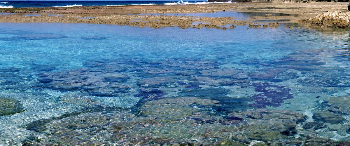 Hikutavake showing colourful reefs