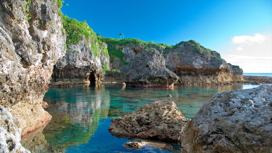 Limu which includes rocky coastline and coral