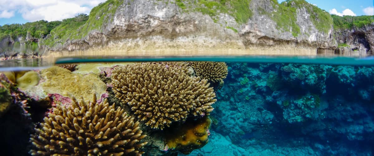 Niue mettant en vedette récifs colorés