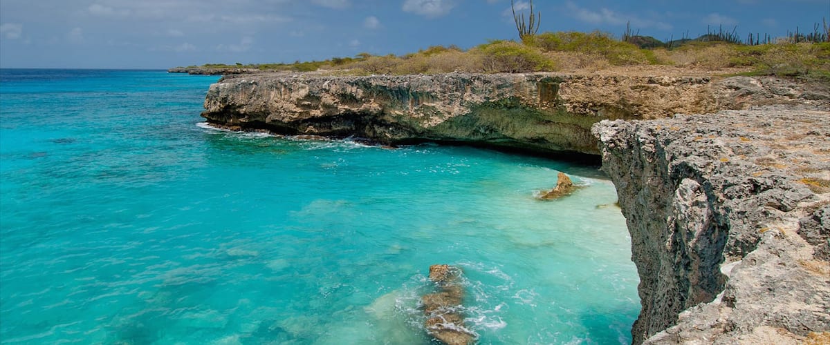 Bonaire que incluye costa rocosa