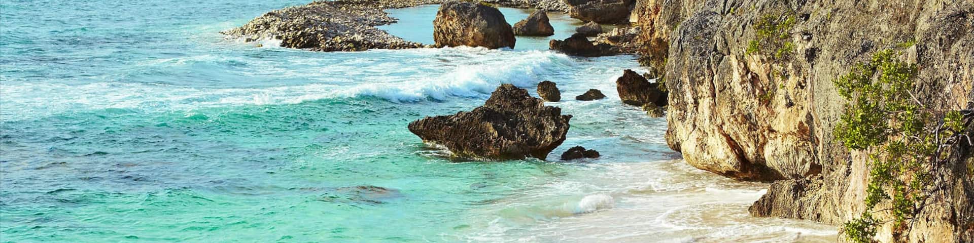 Bonaire mettant en vedette plongée au tuba et cÎte rocheuse aussi bien que petit groupe de personnes