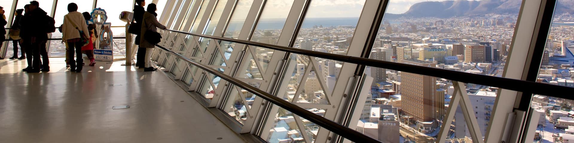 Goryokaku Tower which includes views as well as a large group of people