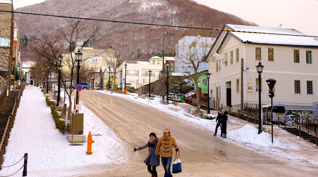 Hakodate featuring snow and street scenes as well as a small group of people