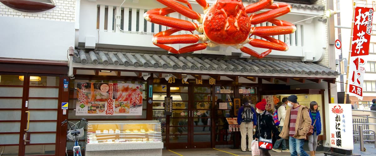 Dotonbori showing shopping as well as a small group of people