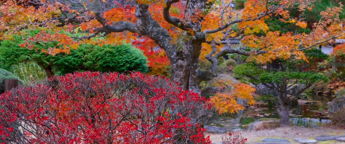 高山阵屋