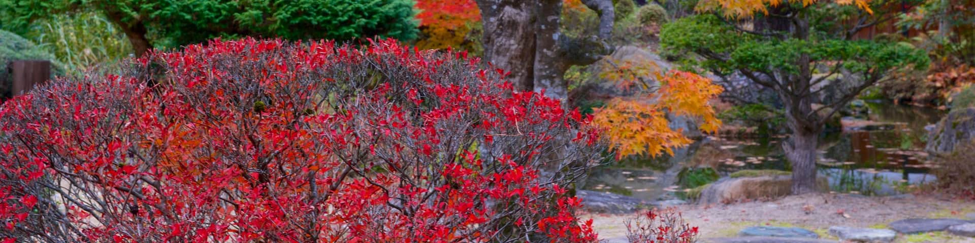 Takayama Jinya showing autumn leaves