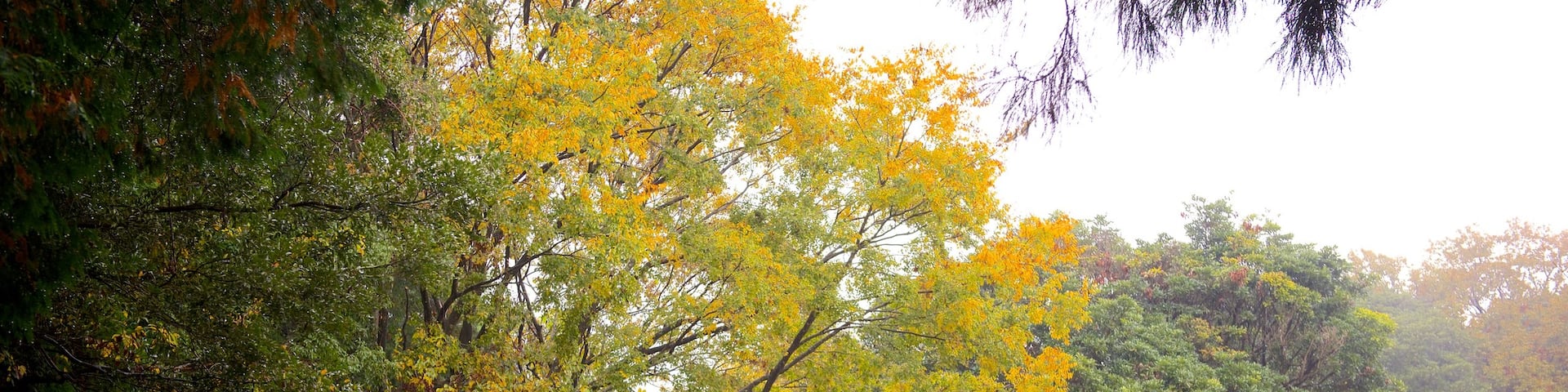 Kiyomizugaoka Park which includes a park