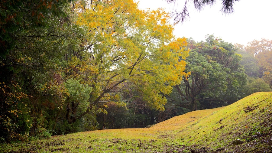 Kiyomizugaoka Park
